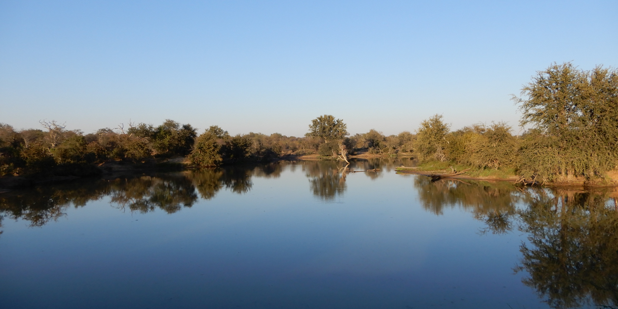 Reflexo na água do lago na savana africana